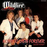 Wildfire (UK) : Nothing Lasts Forever